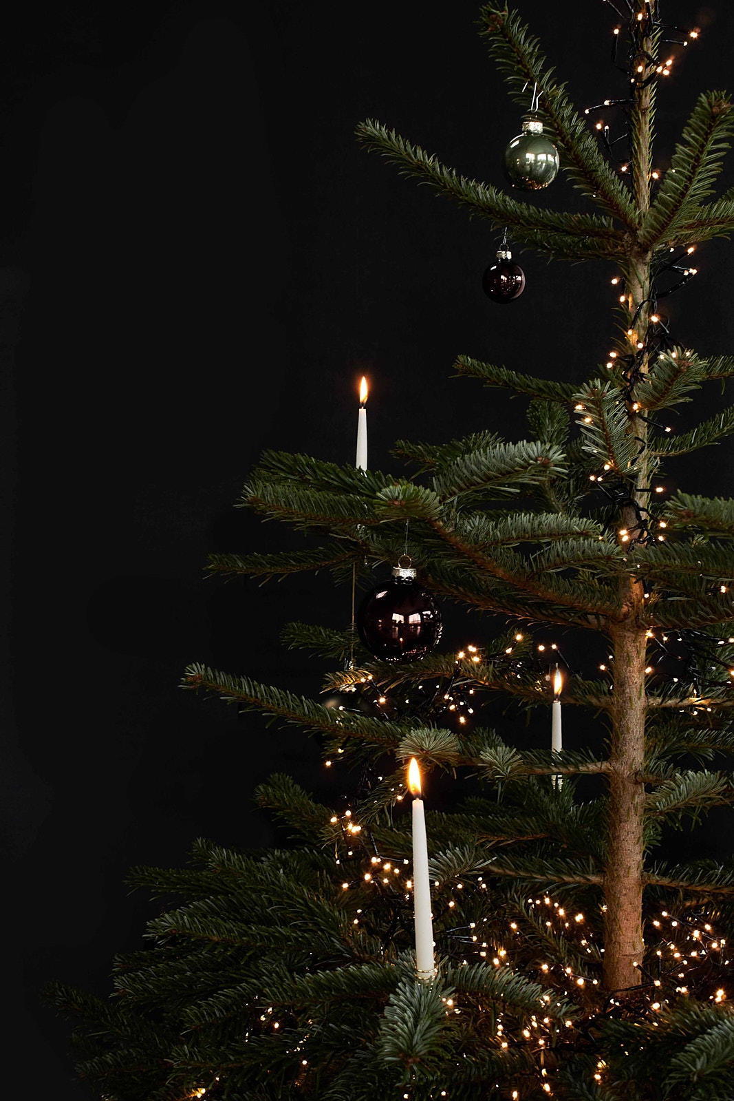 Christmas2021_web